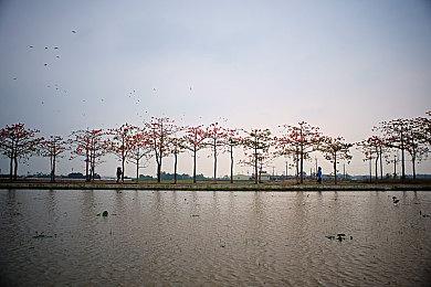 《幻兽帕鲁》经理称因为技术原因 无法登陆Switch